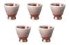 Set of 5 Cinnabar Mini Cups X Sake Cup Setomonohonpo [6 5.8cm (70cc)]