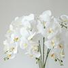 Realistic 9-Headed Phalaenopsis Orchid: White & Pink Artificial Flower for Home & Wedding Decoration