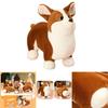 Cute Plush Corgi Dog Toy Soft And Huggable Stuffed Animal For Kids And Pets Brown And White Color 23cm