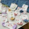 Lace Socks Children'S Summer Thin Breathable Tide Soft Cute Girl Socks Cute Student Medium Tube Mesh Socks
