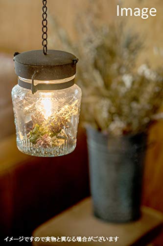 Posh Living LED Lantern, Battery Operated, 15 x 14.5 x 33cm, 22644