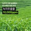 Young Green Tea Mild Emulsion