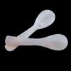 Seashells Conch Natural Teaspoon Stirring Tool Coffee Scoop Caviar Spoons