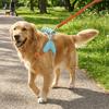 Sattelförmige Rücken Hundegeschirr Weste Atmungsaktiv Hund Brustgeschirr Y-förmiges Hundegeschirr Outdoor