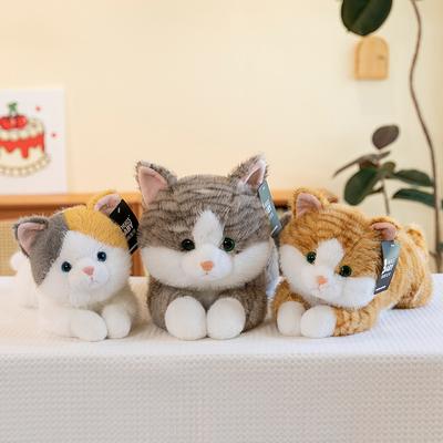 Brinquedo de pelúcia de gato fofo boneca calmante infantil enfeite para casa carro meninas almofada de arremesso para escritório