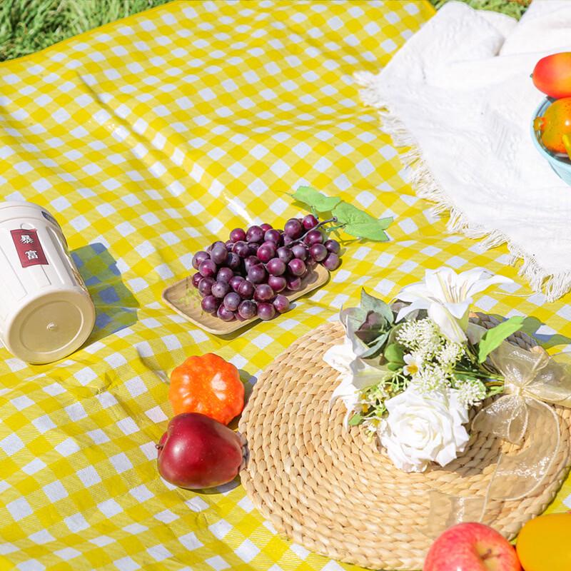 Brangdy Portable Outdoor Picnic Mat