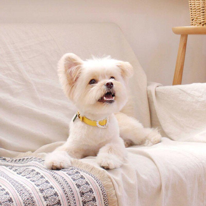MAISON DE MIU Heart Pearl Collar_Yellow