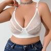 Lace Large Size Thin Push-Up Bra Semi-transparent Sexy Adjustable Underwear