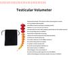 Wooden Orchidometer for Male Testis Volume Measurement 12 Sizes Tanner Stage Development Tool for Testicular Size Assessment