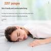 Bai Cheng Dao Outdoor Adult Down Sleeping Bag