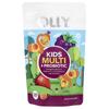 Kids Multi & Probiotic Gummies, Yum Berry Punch, 120 Gummies