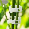 100pcs Sturdy Plastic Clips for Plants, Reusable Snap-On Garden Clips, Support Tomatoes/Climbing Plants, Weatherproof Clips