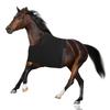 Horse Shoulder Guard AntiRub Bib Chest Saver Stretchy Horse Protective Vest Breathable Horse Rugs Horse Chest Saver
