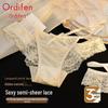 Audifen Women's Sexy Semi-Sheer Lace Briefs 3-Pack