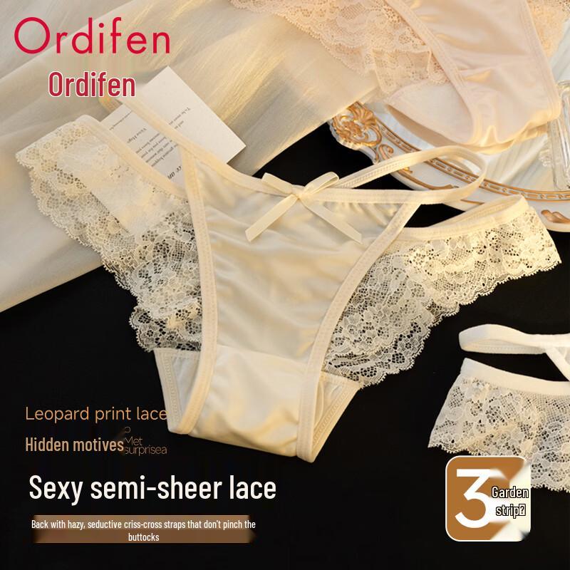 Audifen Women's Sexy Semi-Sheer Lace Briefs 3-Pack