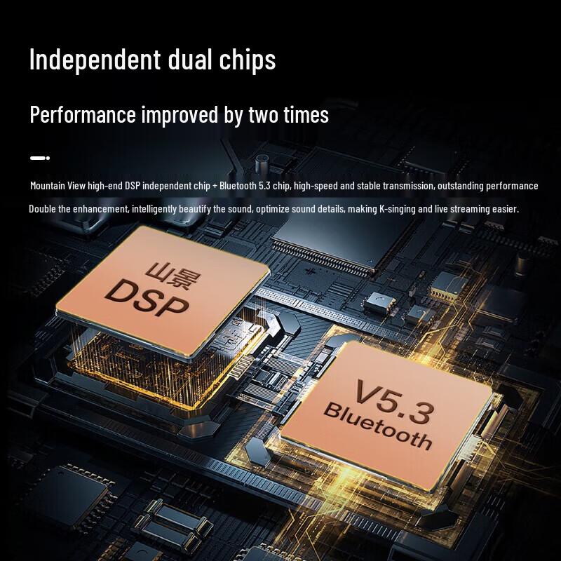 Soaiy SG60 Home KTV All-in-One Speaker with Dual Microphones