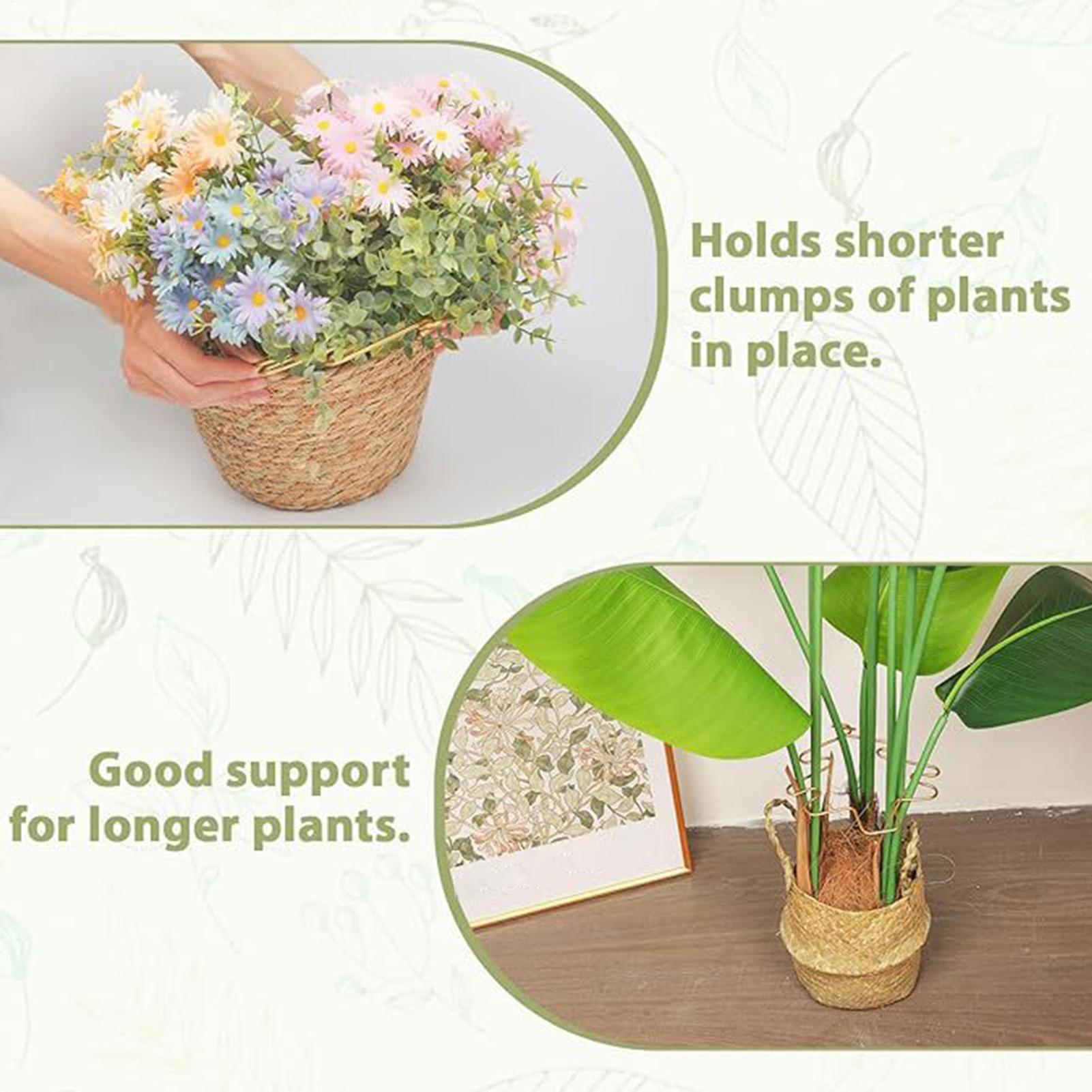 

Snake Plant Support 6 Pieces Metal Reusable Rustproof Stem Supports For Indoor Plants For Potted Monstera Pothos Flower Growth China Mainland