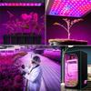 1000w 216 Led Plant Lamp Grow Lamp Full Spectrum Indoor Plants Grow Lamp Plant Light