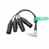 HangTon Breakout Audio Record Cable 10-Pin To XLR 3-Pin Right Angle for Shogun Inferno Ninja Inferno Shogun Flame Shogun 7 Monitor