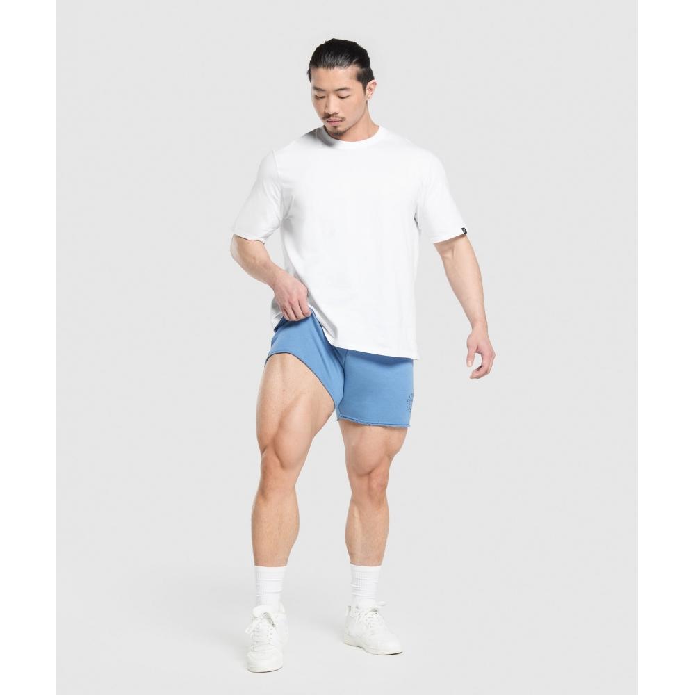 Gymshark Legacy Shorts Classic Blue A6a8o Udbr