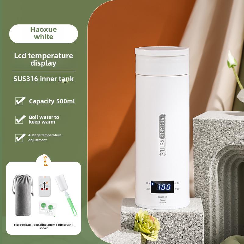Mini Portable Electric Kettle with Thermostat - 110V US Standard, Ideal for Travel and Office