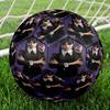Wednesday Theme Size 5 Soccer Ball, Suitable for Both Indoor and Outdoor Matches, a Gift Suitable for Everyone.