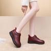 New Women's Cotton Boots Non-slip Comfortable Mother's Cotton Shoes Plus Velvet To Keep Warm Middle-aged Elderly Snow Boots