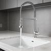 TLXT Spring Pull-Out Kitchen Faucet
