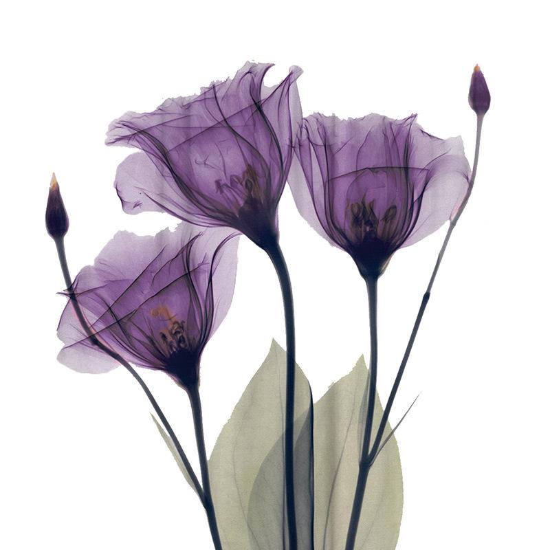 Flower 3D Digital Printing Shower Curtain Bathroom Without Punching Four-Piece Bathroom Curtain Shower Curtain Bathroom Curtain