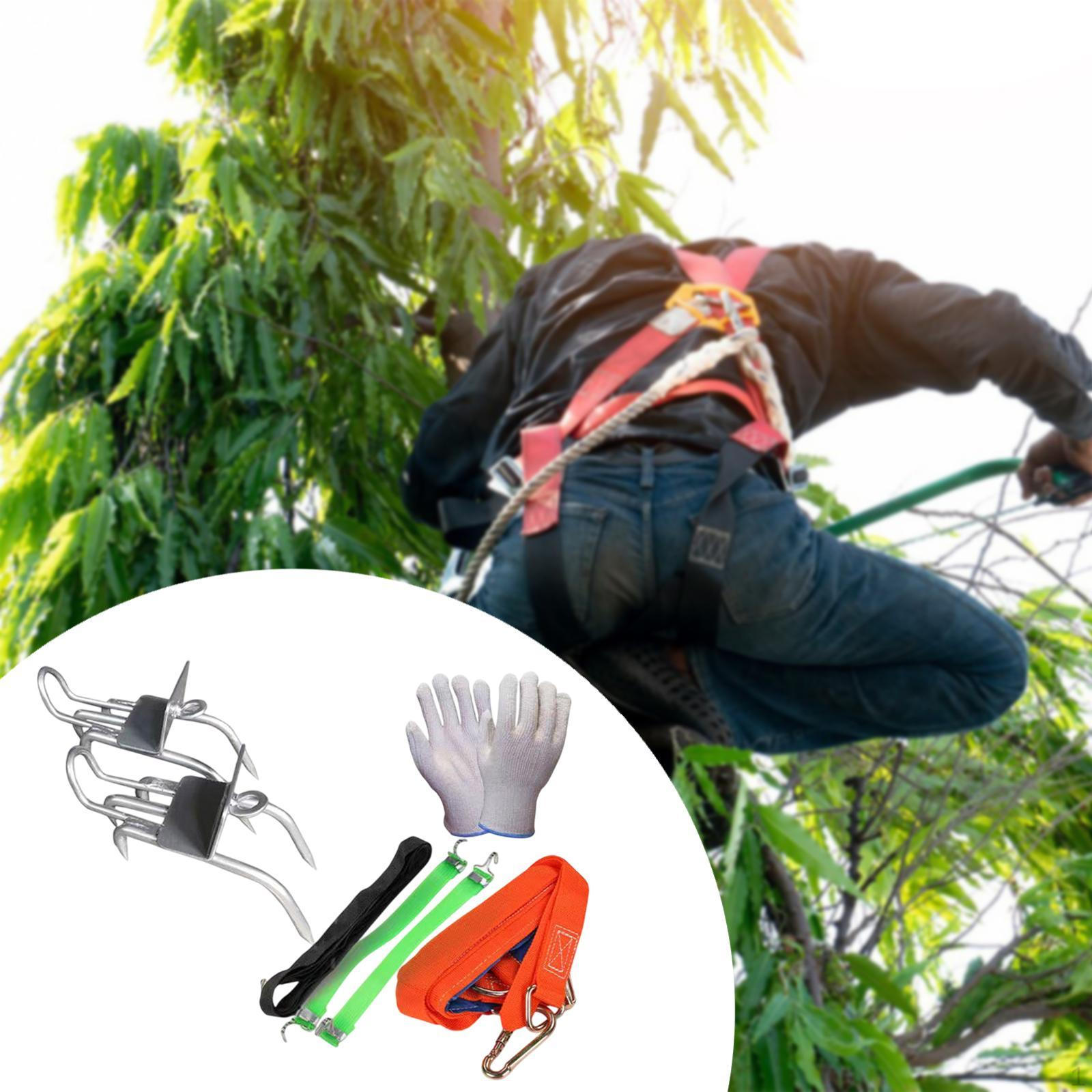 

2 шт. шипы для лазания по деревьям для работы с безопасным поясом подарки из нержавеющей стали без сумки No Bag