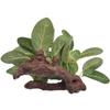 Fish Tank Decor Green Underwater Ficus Tree Aquarium Plants Turtle Jar Ornament Artificial Plants