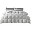 Polish Imported 95% Down Winter Comforter