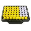 Golf Ball Tray, Container for Enthusiasts