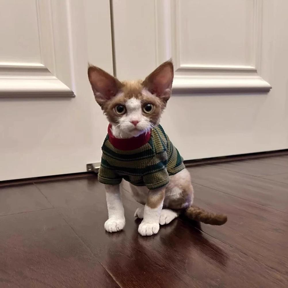Adorabile Gilet a Strisce Verdi per Cani Piccoli e Gatti Primavera Estate Cotone Traspirante Stile Casual Abbigliamento per Animali alla Moda