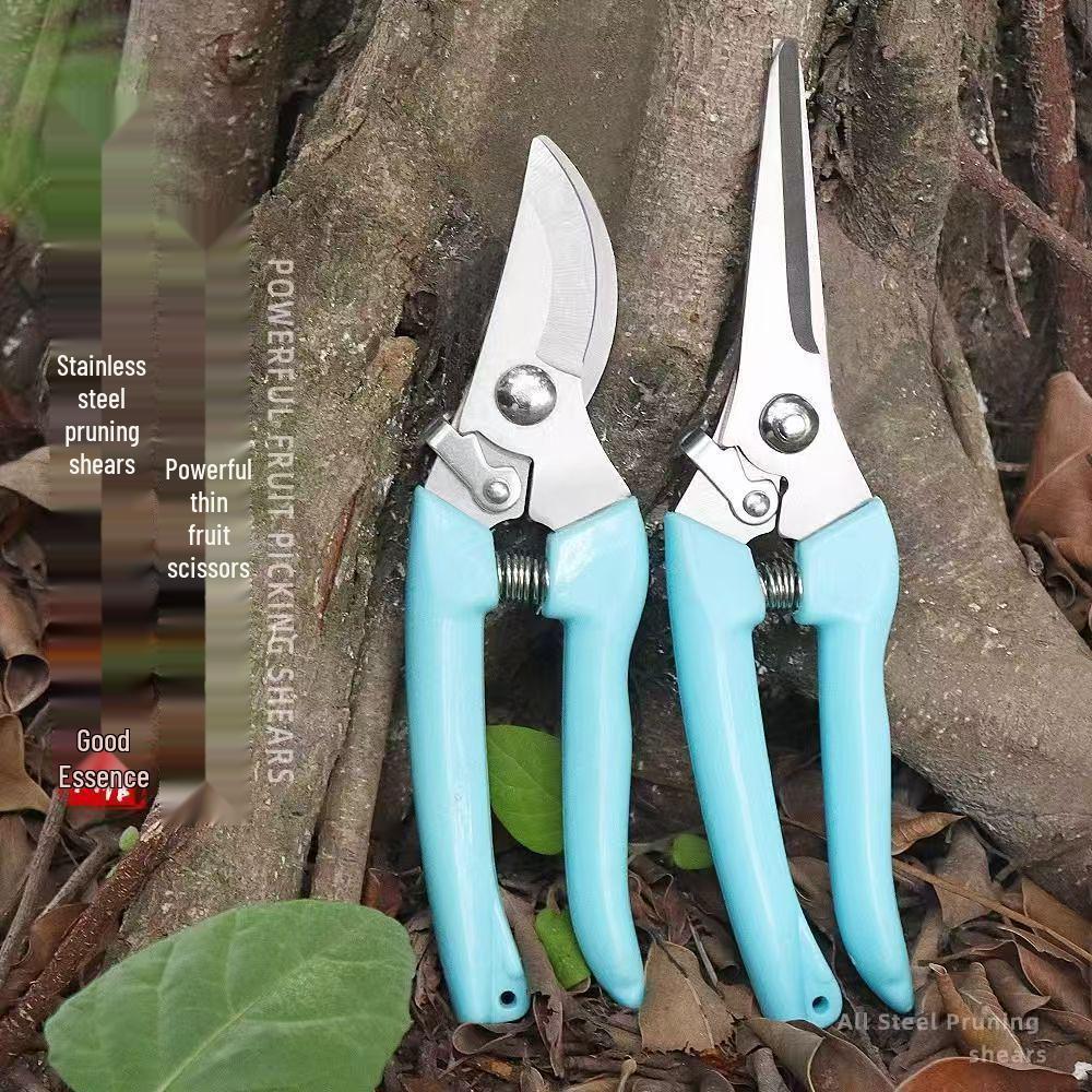 Florist's Special Pruning Shears for Flowers, Branches, Bonsai, and Fruit Picking
