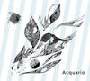 CD SATOSHI KAMITA  ACQUARIO MDC4  2011 Japan Japanese Club Dance Used