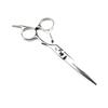 6.0" Hairdressing Scissors Set: Straight & Thinning Shears for Bangs