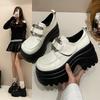 9Cm thick-soled British small leather shoes women's 2025 new autumn versatile muffin single shoes small height-increasing loafers