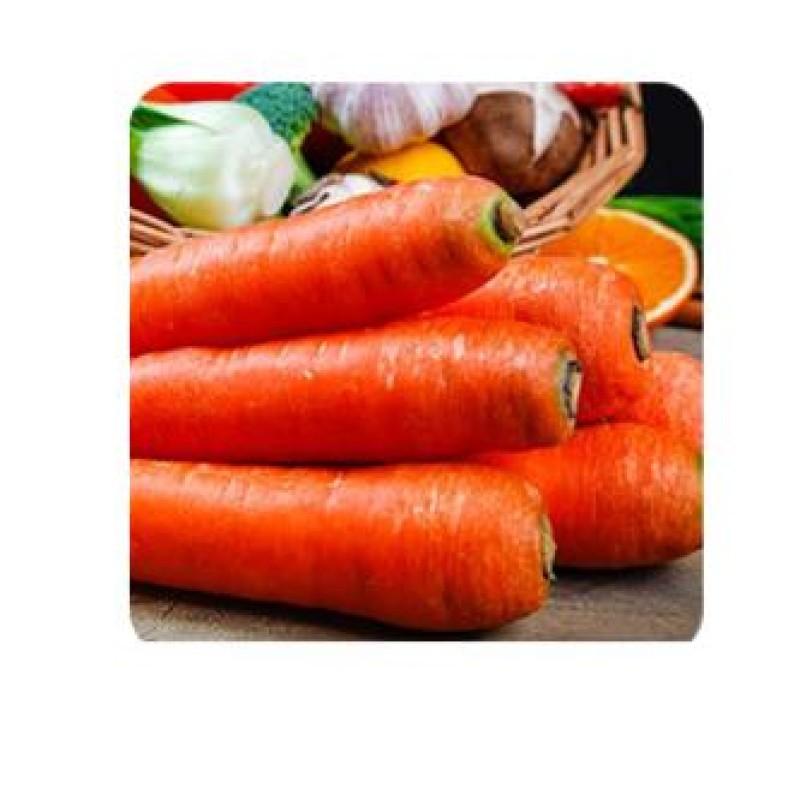 Vegetable Cutter Multifunctional Heavy Duty Veggie Spiralizer Kitchen Tools Food Slicer Vegetable Shredder China Mainland