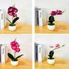 1 Set Fake Bonsai Realistic Anti Fade Faux Silk Flower Flexible Party Fake Butterfly Orchid Flowers Plant for Decorating