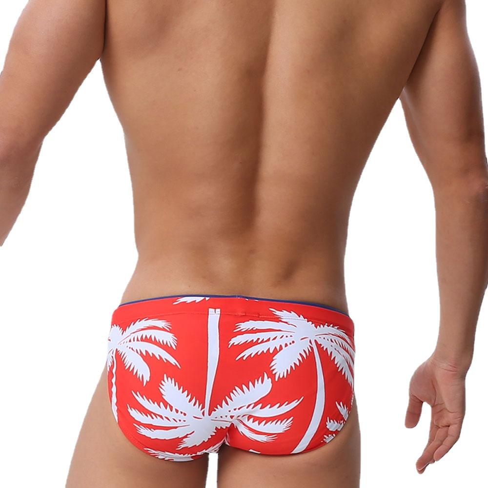 Men's  Fashion Strips Sexy Men's Brief Sexy Printed Swimsuit for Men Surfing Swimwear Low-Rise