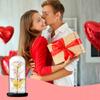 Ewige Mehrfarbige Rose im Glas Leuchtende LED Geschenk Regenbogen
