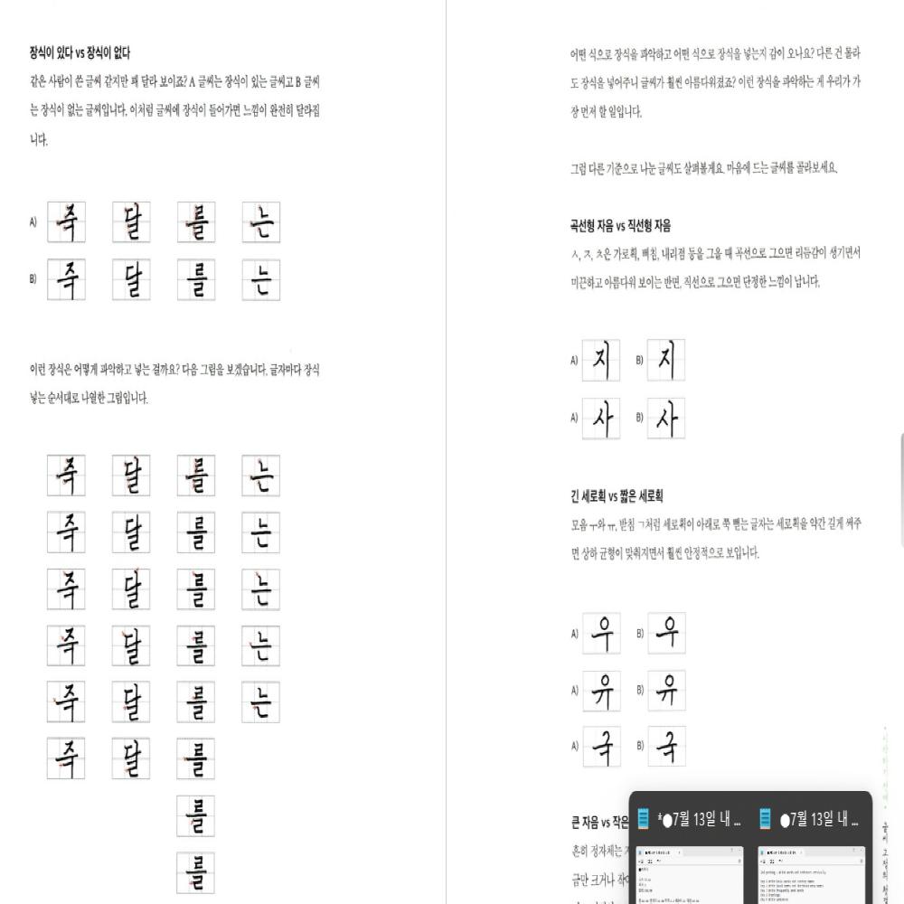 If I Use My Handwriting Properly, I Won't Have Any Wishes Korean Book