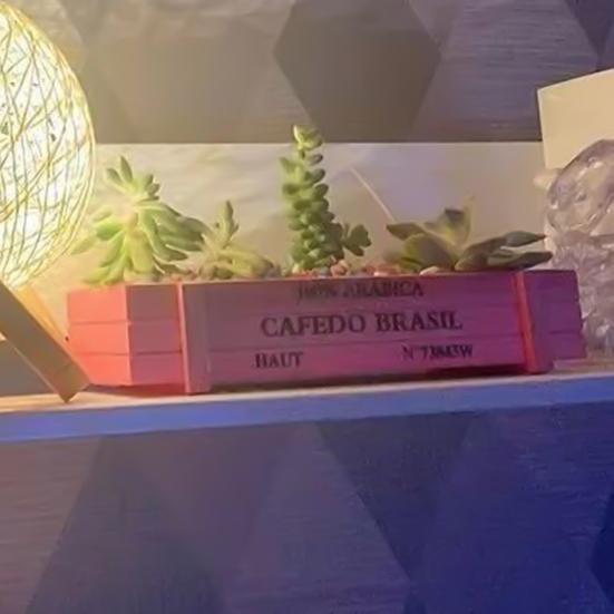 Special Succulent Planter Sturdy No Burrs Stable