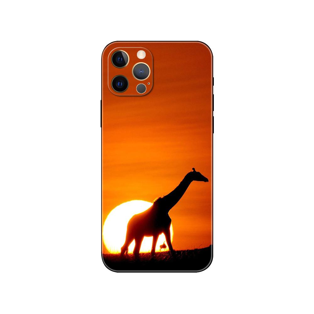 Beautiful Giraffe Animals Phone Case for Iphone 5 5s 2020se 6 6s 7 8 Plus X 10 XR XS 11 12 13 Mini Pro MAX Black Tpu Back Cover