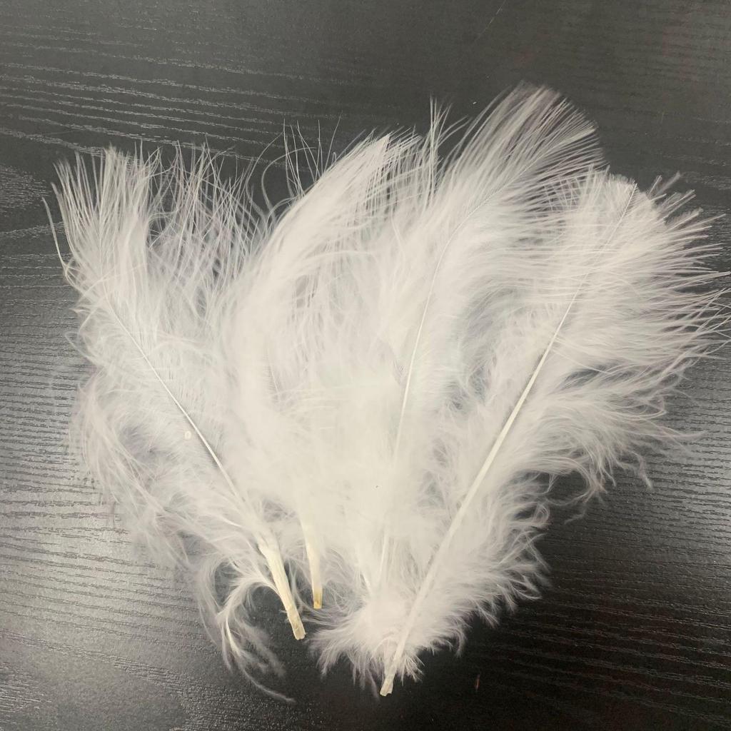 Pene de Struț 10-15cm pentru Meșteșuguri DIY și Accesorii pentru Marginea Fustei