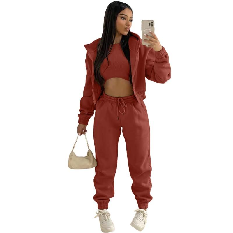 Womens 2026 Warm Fleece-Lined Hooded Sweatshirt Set 3-Piece Casual Streetwear Outfit In Pink Orange Gray Black Brown Khaki