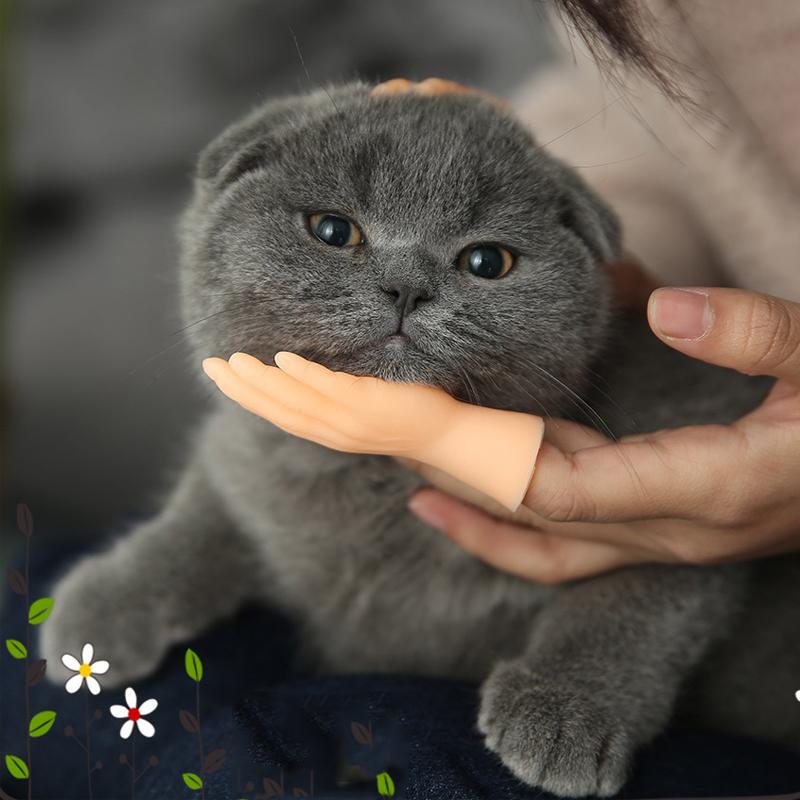 Cartoon Fun Creative Funny Mini Finger Puppet Set Soft Little Hands Five Finger Model Gestures Tease Cat Pet Toys Halloween Gift