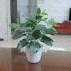 1Pc Artificial Plant Greenery Leaf DIY Garden Stage Party Wedding Festival Decor