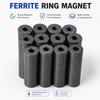100/20pz Magneti Anello in Ferrite con Foro Magnete Permanente Rotondo Nero Forte Dischi Magnetici Ceramici Resistenti per Frigorifero & Artigianato